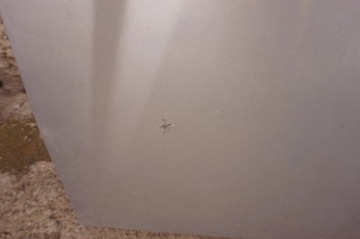 фото thumb №8, Бампер комплектный перед kia carens iii 3