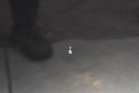 фото thumb №5, Дверь левая перед передние графитовый subaru forester 3 iii 11-13