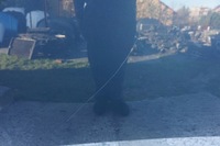 фото thumb №7, Крила правий kompletny перед audi a3 8p lift