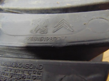 фото thumb №13, Решітка середня бампера berlingo iii 9681519877