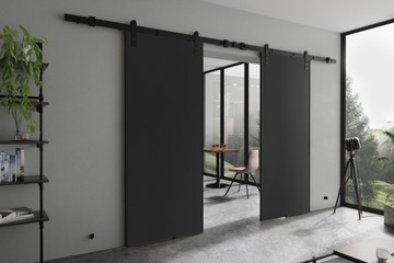 AURA DUO 212 раздвижные двери лофт настенные