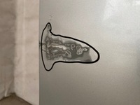 фото thumb №11, Mercedes b-klasa w247 двері праве передні