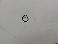 фото thumb №2, Дверь правое перед - seat exeo 08-13