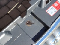 Audi a3 8p0 lift 09-12 бампер передний решётка радиатора Недорого, фото thumb