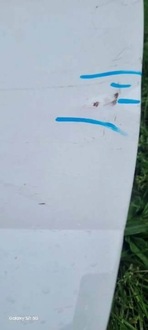 фото thumb №7, Vw up skoda citigo дверь левая передние перед