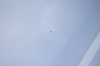 фото thumb №8, Audi a8 d3 lift капот кришка двигуна lx7w