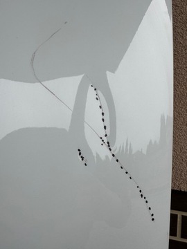 фото thumb №11, Капот кришка двигуна audi a5 8w6