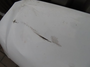 фото thumb №6, Ford transit custom mk8 капот 57um 2016r