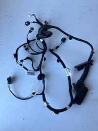 фото thumb №1, Жгут электропроводка дверь megane v e-tech правый перед