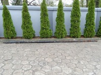 фото thumb №1, Daf fa 45 91-00 рама лівий bok 670x19cm 17,5