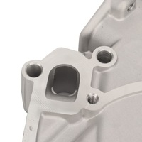 фото thumb №16, Защита цепи распределительного вала двигателя oczyścić двойной цепь распределительного вала