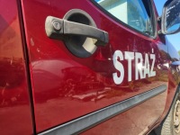 фото thumb №6, Fiat doblo дверь правый перед правое передние 124