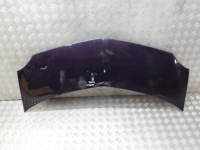 фото thumb №1, Капот renault modus ted72