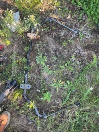 фото thumb №1, C4 picasso ii 13-19 стабілізатор 9802490780