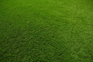 szer. 2,5m MIĘCIUTKA SZTUCZNA TRAWA NA TARAS 40mm