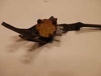 фото thumb №1, Lexus sc430 ii датчик вирівнювання лампа задня