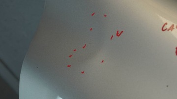 фото thumb №10, Porsche cayenne i крило правий перед b3012