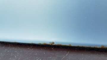 фото thumb №10, Mercedes w220 347 двері лівий зад комплектні