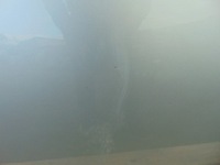 фото thumb №8, Двері правий перед ford b-max колір mc