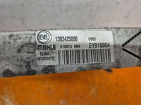 фото thumb №13, Fiat ducato iii lift 14- радиатор wody 1382425080