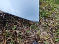 фото thumb №16, Капот fiat bravo ii оригінальний лак 336/b