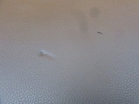 фото thumb №8, Honda civic x hb 2019 панель раздаточная капот + подушка kpl