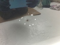 фото thumb №4, Двері правий задня 876 nero carbonio alfa romeo 159