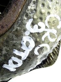 фото thumb №11, Турбонагнетатель turbo audi a6 c7 a7 4g 3.0 tdi 059145874c