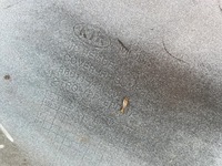 фото thumb №10, Бампер задній задня kia ceed ii lift 15-