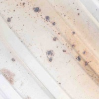 фото thumb №7, Гаситель opel mokka / mokka x 95080872 10034057 1.4l 103kw 2018