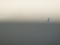 фото thumb №4, Дверь задние левая mercedes w124 147f