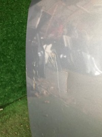 фото thumb №5, Дверь задняя задние левая fiat linea wwa