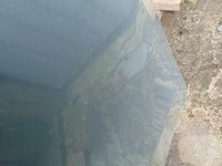 фото thumb №11, Бампер перед audi a6 c8 s-line ксенон pdc