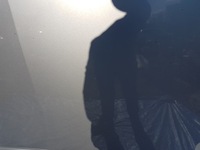 фото thumb №7, Капот mercedes r-klasa w251 c775 775