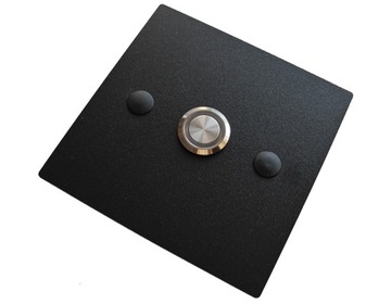 Кнопка входа в ворота домофона LED 10x10 серебристая