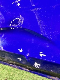 фото thumb №5, Двері праве передні lexus rx iv 15-