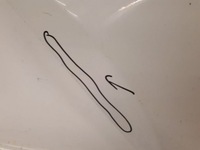 фото thumb №4, Kia picanto 2017 двері праве задня