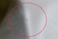 фото thumb №6, Maserati levante suv m161 задня права внутрішня внутрішня молдинг поріг