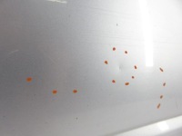 фото thumb №6, Двери левые передние mitsubishi outlander i a31