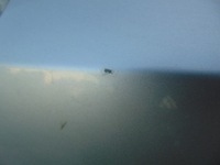 фото thumb №7, Дверь левая задняя honda accord viii kombi nh743m