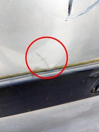 фото thumb №3, Citroen berlingo i lift двері праве задня задні