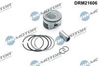 фото thumb №1, Dr.motor drm21606 поршень