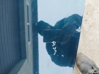 Капот крышка двигателя opel astra j iv рестайлинг  lata 2009-2015 цвет z30v Недорого, фото thumb