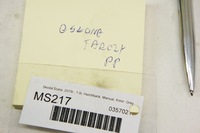 фото thumb №10, Ms217 skoda scala 1.0i захист диск правий перед