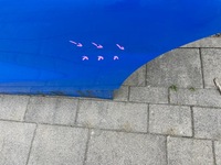 фото thumb №8, Дверь левый задняя задние левая bmw x2 f39