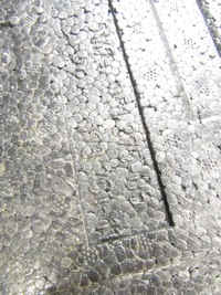 фото thumb №6, Вкладыш пенополистирол пол bmw e83 x3 europa