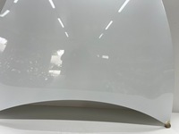 фото thumb №6, Капот tesla 3 ładna