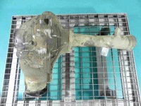 фото thumb №11, Мост перед land cruiser j200 200 07- 4.5 v8 d4d