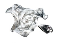 фото thumb №2, Защита корпус тепловая opel renault 1.6 dci cdti