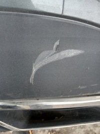 фото thumb №6, Ford edge mk2 бампер задняя 4x pdc vignale